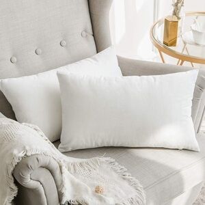 Pack of 2, Velvet Soft Solid Decorative Square Throw Pillow Covers